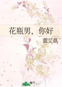Bìa truyện Hoa Bình Nam Nhĩ Hảo (花瓶男，你好)