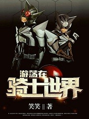 Bìa truyện Du Đãng Tại Kỵ Sĩ Thế Giới (游荡在骑士世界)
