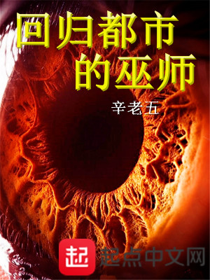 Bìa truyện Hồi Quy Đô Thị Đích Vu Sư (回归都市的巫师)