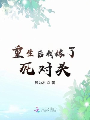 Bìa truyện Trọng Sinh Hậu Ngã Giá Liễu Tử Đối Đầu (重生后我嫁了死对头)