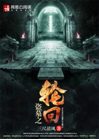 Bìa truyện Đạo Mộ Chi Luân Hồi (盗墓之轮回)