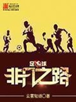 Bìa truyện Túc Cầu Phi Phàm Chi Lộ (足球：非凡之路)