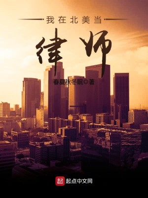Bìa truyện Ngã Tại Bắc Mĩ Đương Luật Sư (我在北美当律师)