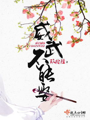 Bìa truyện Uy Vũ Bất Năng Thú (威武不能娶)