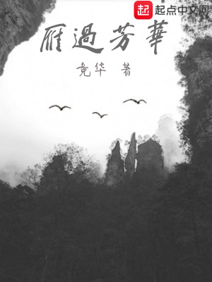 Bìa truyện Nhạn Quá Phương Hoa (雁过芳华)
