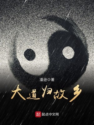 Bìa truyện Đại Đạo Quy Cố Hương (大道归故乡)