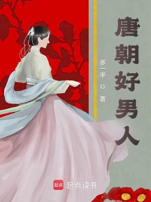 Bìa truyện Đường Triêu Hảo Nam Nhân (唐朝好男人)