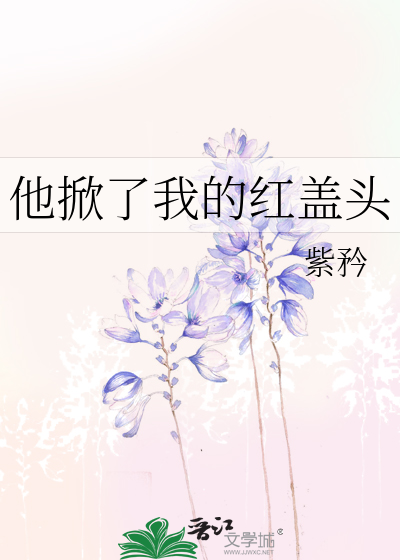 Bìa truyện Tha Hiên Liễu Ngã Đích Hồng Cái Đầu (他掀了我的红盖头)