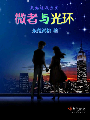 Bìa truyện Vi Giả Dữ Quang Hoàn (微者与光环)
