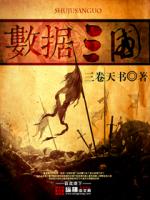 Bìa truyện Sổ Cư Tam Quốc (数据三国)