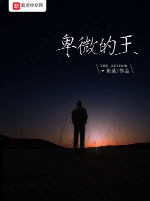 Bìa truyện Ti Vi Đích Vương (卑微的王)