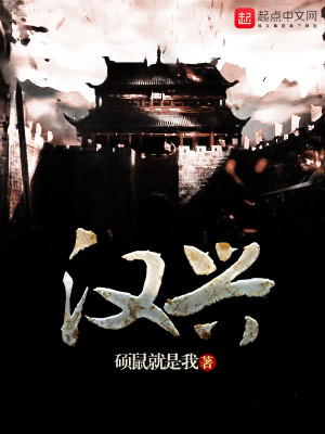 Bìa truyện Hán Hưng (汉兴)