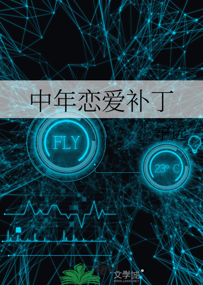 Bìa truyện Trung Niên Luyến Ái Bổ Đinh (中年恋爱补丁)