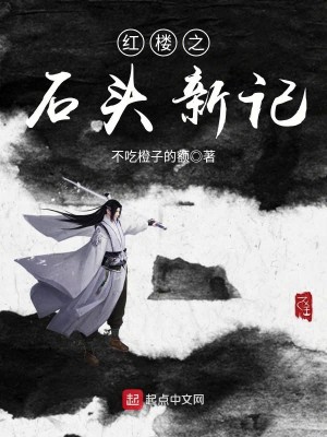 Bìa truyện Hồng Lâu Chi Thạch Đầu Tân Kí (红楼之石头新记)