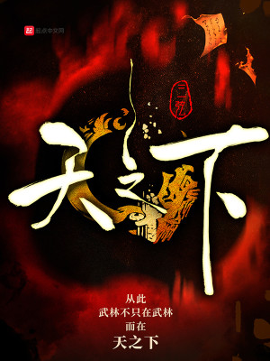 Bìa truyện Thiên Chi Hạ (天之下，)