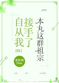 Bìa truyện Tống Tự Tòng Ngã Tiếp Thủ Liễu Bổn Hoàn Giá Quần Tổ Tông ([综]自从我接手了本丸这群祖宗)
