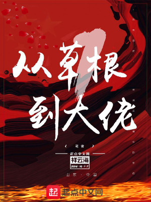 Bìa truyện Tòng Thảo Căn Đáo Đại Lão (从草根到大佬)