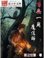 Bìa truyện Bách Vô Nhất Dụng Ma Pháp Sư (百无一用魔法师)