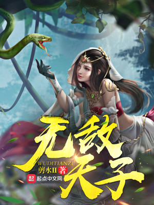 Bìa truyện Vô Địch Thiên Tử (无敌天子)