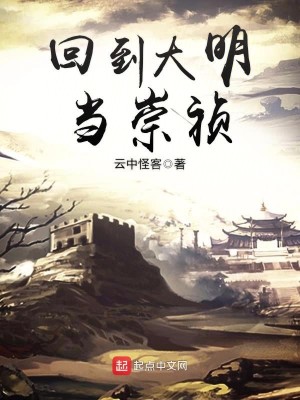 Bìa truyện Hồi Đáo Đại Minh Đương Sùng Trinh (回到大明当崇祯)