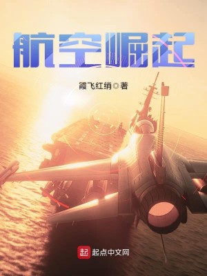 Bìa truyện Hàng Không Quật Khởi (航空崛起)