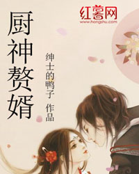 Bìa truyện Trù Thần Chuế Tế (厨神赘婿)