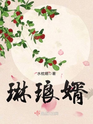 Bìa truyện Lâm Lang Tế (琳琅婿)