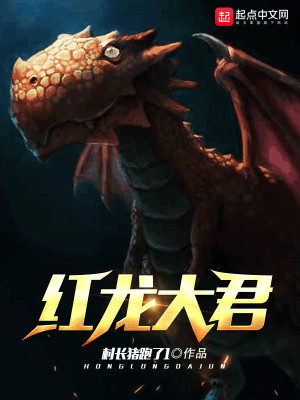 Bìa truyện Hồng Long Đại Quân (红龙大君)