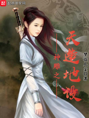 Bìa truyện Thần Điêu Chi Thiên Tạo Địa Thiết (神雕之天造地设)
