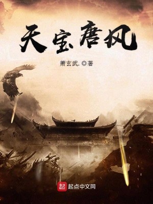 Bìa truyện Thiên Bảo Đường Phong (天宝唐风)
