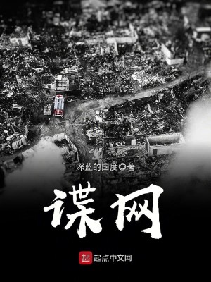 Bìa truyện Điệp Võng (谍网)