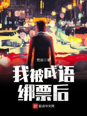 Bìa truyện Ngã Bị Thành Ngữ Bảng Phiếu Hậu (我被成语绑票后)