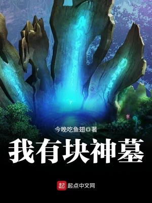 Bìa truyện Ngã Hữu Khối Thần Mộ (我有块神墓)