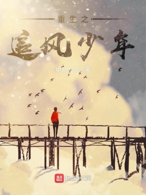 Bìa truyện Trọng Sinh Chi Truy Phong Thiếu Niên (重生之追风少年)