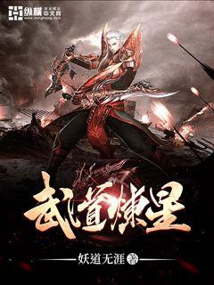 Bìa truyện Vũ Đạo Luyện Tinh (武道炼星)
