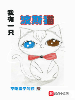 Bìa truyện Ngã Hữu Nhất Chích Ba Tư Miêu (我有一只波斯猫)