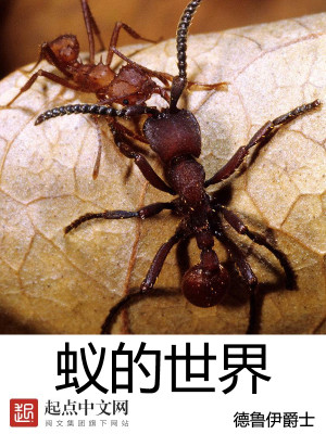 Bìa truyện Nghĩ Đích Thế Giới (蚁的世界)