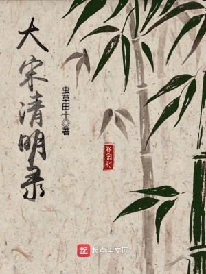 Bìa truyện Đại Tống Thanh Minh Lục (大宋清明录)