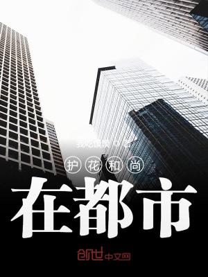 Bìa truyện Hộ Hoa Hòa Thượng Tại Đô Thị (护花和尚在都市)