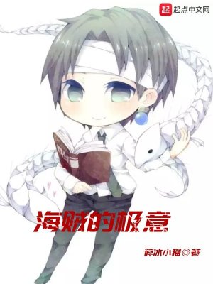 Bìa truyện Hải Tặc Đích Cực Ý (海贼的极意)