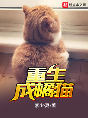 Bìa truyện Trọng Sinh Thành Quất Miêu (重生成橘猫)