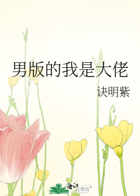 Bìa truyện Nam Bản Đích Ngã Thị Đại Lão (男版的我是大佬)