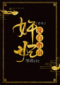 Bìa truyện Gian Phi Tẩy Bạch Chỉ Nam Xuyên Thư (奸妃洗白指南(穿书))