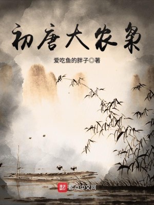 Bìa truyện Sơ Đường Đại Nông Kiêu (初唐大农枭)