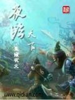 Bìa truyện Dạ Lâm Thiên Hạ (夜临天下)