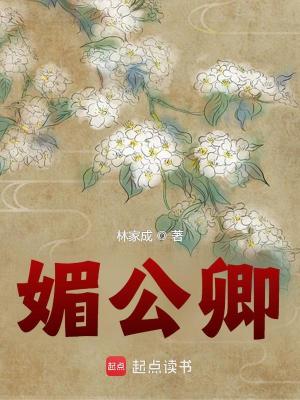 Bìa truyện Mị Công Khanh (媚公卿)