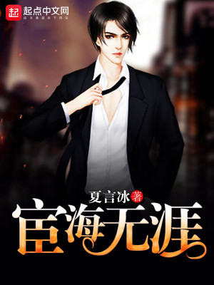 Bìa truyện Hoạn Hải Vô Nhai (宦海无涯)
