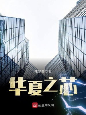 Bìa truyện Hoa Hạ Chi Tâm (华夏之芯)