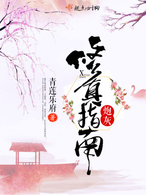 Bìa truyện Pháo Hôi Tu Chân Chỉ Nam (炮灰修真指南)