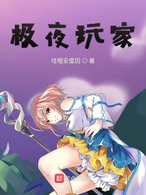 Bìa truyện Cực Dạ Ngoạn Gia (极夜玩家)